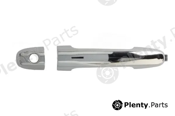 Blic 6010-19-059401PP — Exterior Door Handle