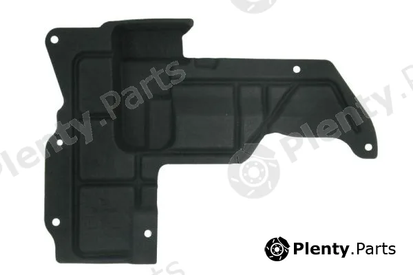 Blic 6601-02-1196871P — Engine Guard/Skid Plate