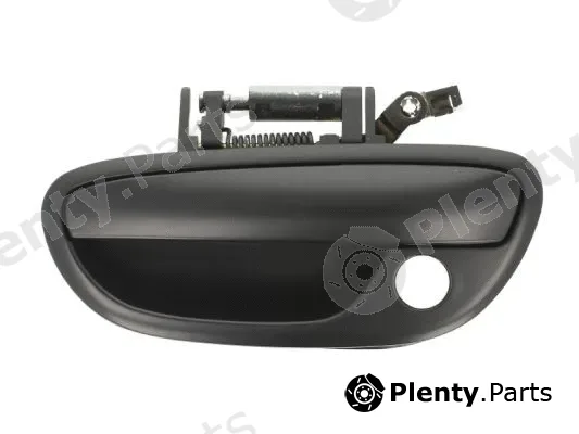 Blic 6010-17-015401P — Exterior Door Handle