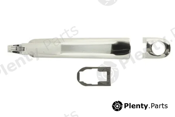 Blic 6010-10-010401PP — Exterior Door Handle
