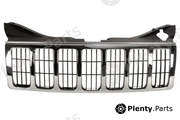 Blic 6502-07-3205991P — Radiator Grille