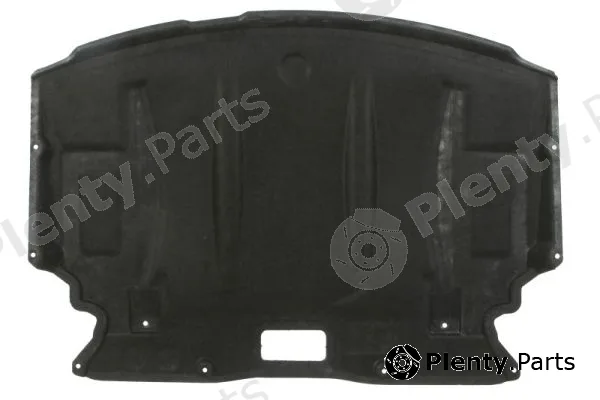Blic 6601-05-0000035P — Engine Cover