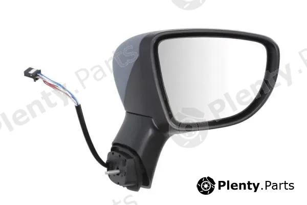 Blic 5402-09-2002104P — Exterior Mirror