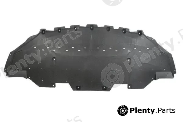 Blic 6601-02-2589860P — Engine Guard/Skid Plate