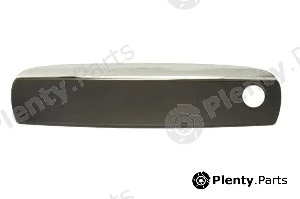 Blic 6010-25-035401PP — Exterior Door Handle