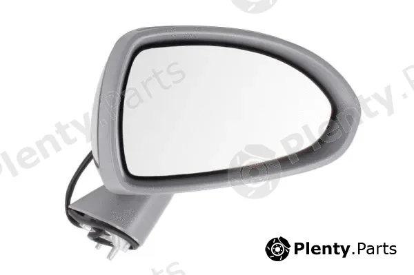Blic 5402-04-2001990P — Exterior Mirror