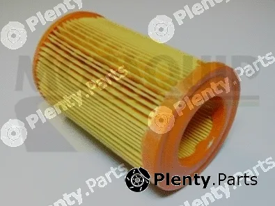 Motaquip VFA75 — Air Filter