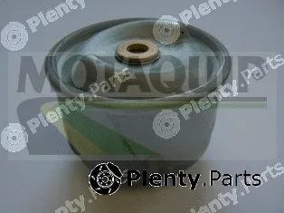 Motaquip VFL600 — Oil Filter