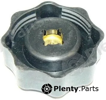 Motaquip VCR252 — Cap, coolant tank