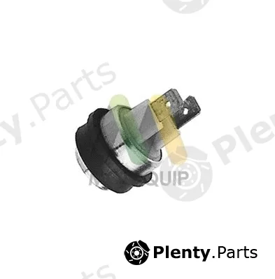 Motaquip LVRF307 — Temperature Switch, radiator fan