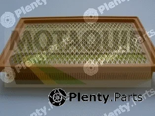 Motaquip VFA1192 — Air Filter