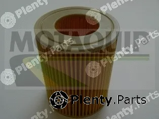 Motaquip VFL559 — Oil Filter