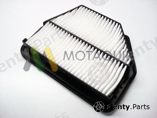 Motaquip LVFA1444 — Air Filter