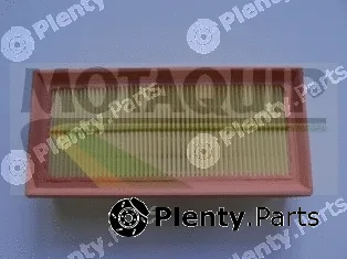 Motaquip VFA1214 — Air Filter