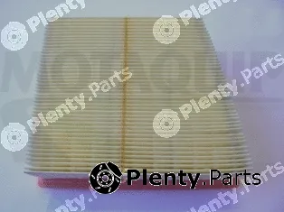 Motaquip LVFA1409 — Air Filter