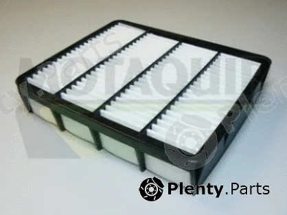 Motaquip VFA807 — Air Filter