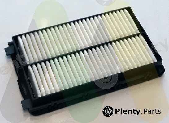 Motaquip LVFA1670 — Air Filter