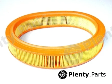 Motaquip VFA479 — Air Filter
