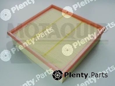 Motaquip VFA670 — Air Filter