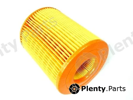 Motaquip VFA841 — Air Filter