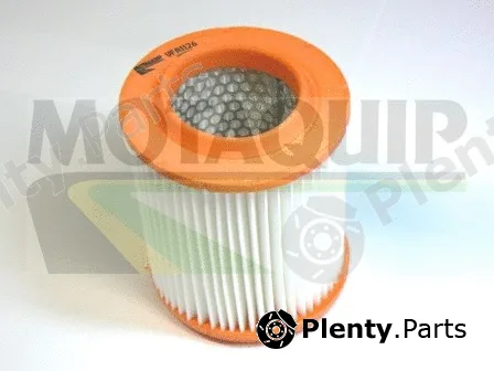Motaquip VFA1126 — Air Filter