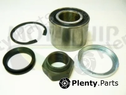 Motaquip VBK303 — Wheel Bearing Kit Premium