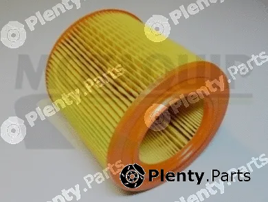 Motaquip VFA215 — Air Filter