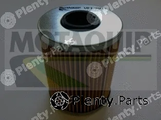 Motaquip VFL291 — Oil Filter