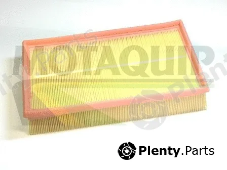 Motaquip VFA1137 — Air Filter
