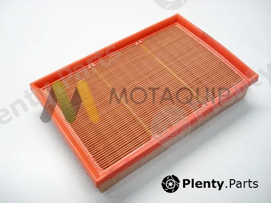 Motaquip LVFA1407 — Air Filter