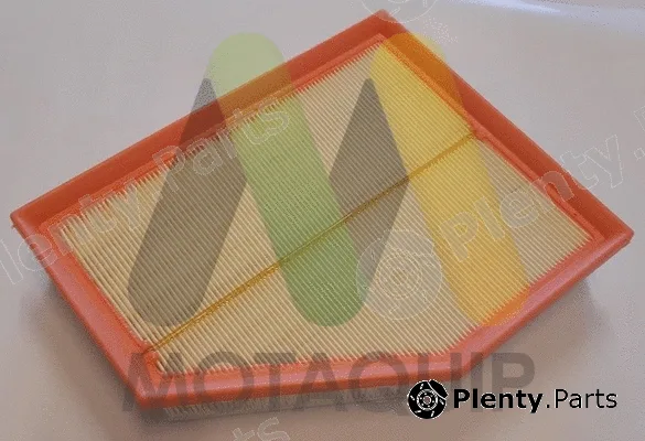 Motaquip LVFA1675 — Air Filter