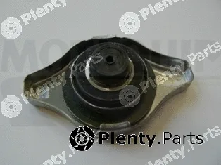 Motaquip VCR253 — Cap, coolant tank