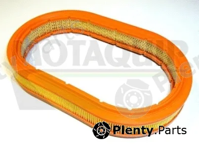 Motaquip VFA191 — Air Filter