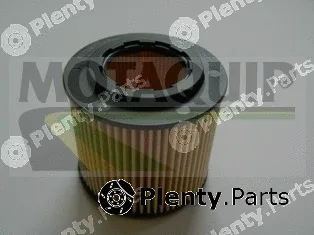 Motaquip VFL500 — Oil Filter