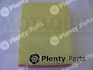 Motaquip LVFA1412 — Air Filter