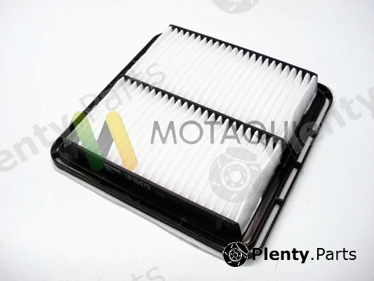 Motaquip LVFA1479 — Air Filter