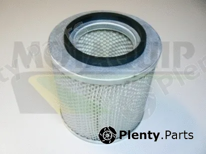 Motaquip VFA768 — Air Filter