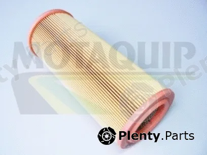 Motaquip VFA613 — Air Filter