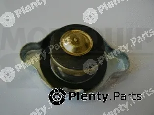 Motaquip VCR251 — Cap, coolant tank