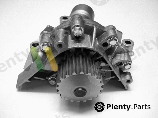 Motaquip VWP924 — Water Pump, engine cooling