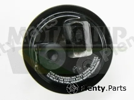 Motaquip VFF301 — Fuel Filter