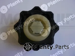 Motaquip VCR239 — Cap, coolant tank