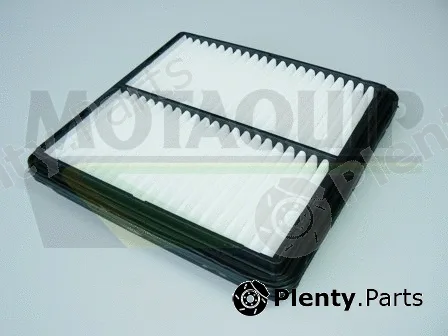 Motaquip VFA915 — Air Filter