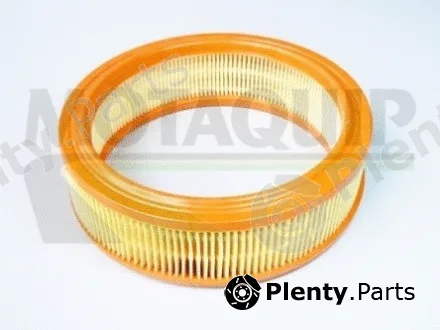 Motaquip VFA200 — Air Filter
