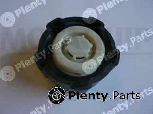 Motaquip VCR235 — Cap, coolant tank