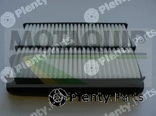 Motaquip VFA1172 — Air Filter