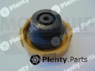 Motaquip VCR249 — Cap, coolant tank