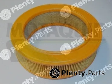 Motaquip VFA249 — Air Filter