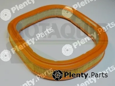 Motaquip VFA255 — Air Filter