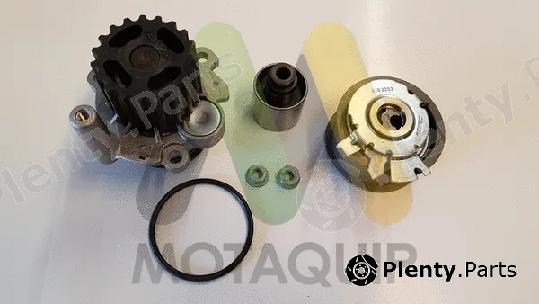 Motaquip LVTTP101 — Water Pump & Timing Belt Kit